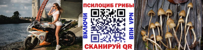 Псилоцибиновые грибы прущие грибы  Печоры 